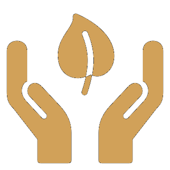 icon - /uploads/s/y/t/h/ythdfqppznhs/img/full_O0rlwiwh.png